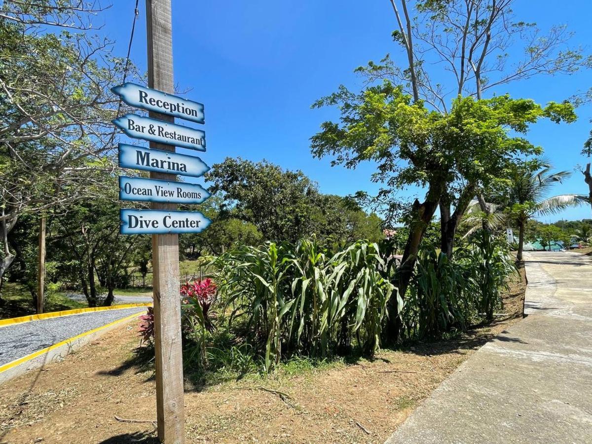 Hotel And Dive Center Roatan Yacht Club French Harbour Exterior foto